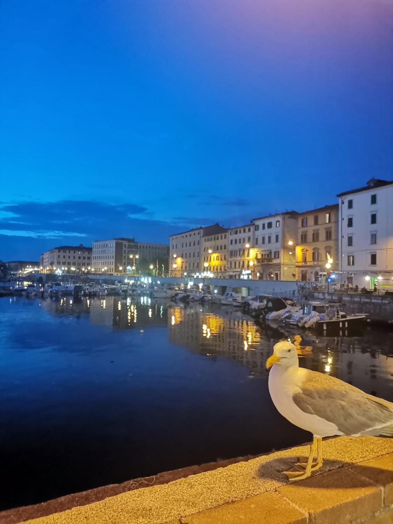 Ferienwohnung Residenza Vittoria Livorno Exterior foto